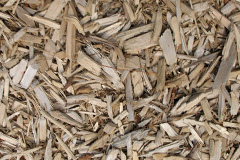 biomass boilers Gwernol