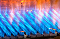 Gwernol gas fired boilers